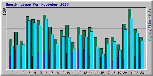 Hourly usage for November 2025