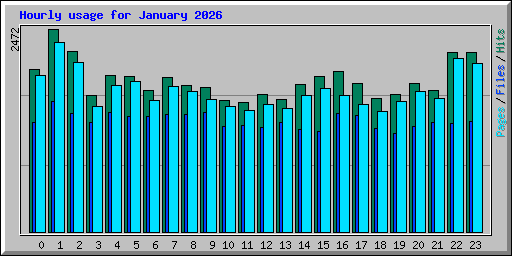Hourly usage for January 2026